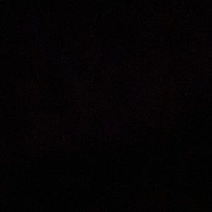 Meet your Posher, Ella